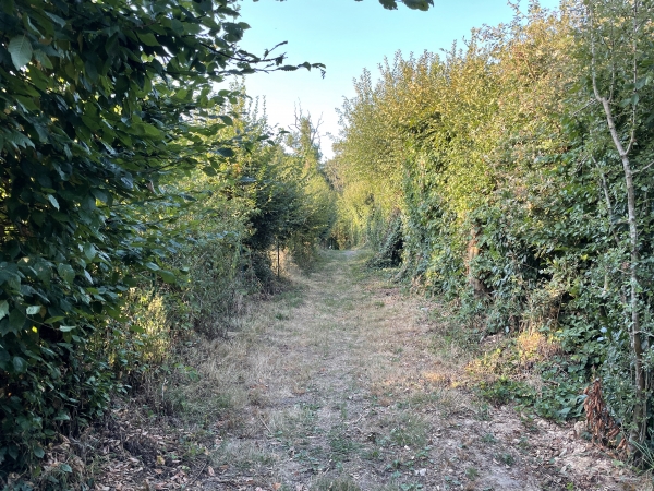 Nous serpentons dans le bourg sur des chemins ombragés qui se succèdent.
