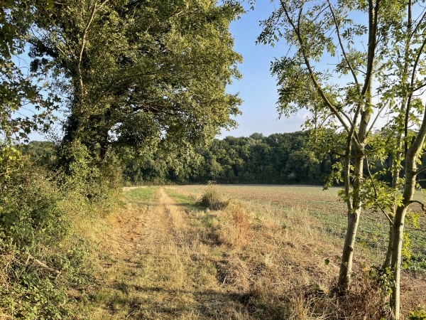 Nous marchons vers le nord en direction des Coudres.