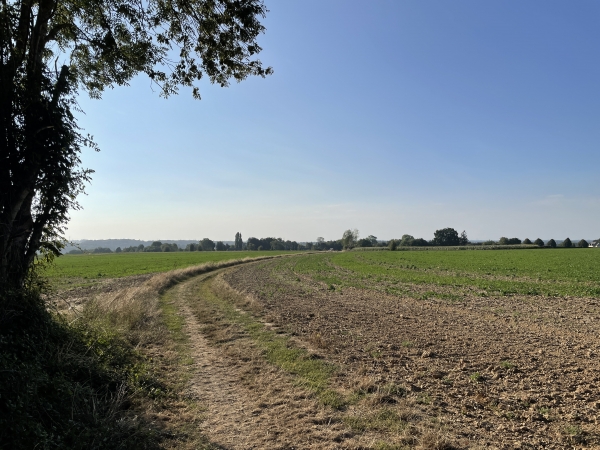 Nous venons de traverser le hameau de la Croisée, et continuons sur le chemin de la Butte Cavellier.