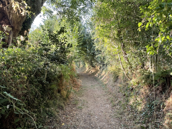 Après le hameau du Houx Gaillard, nous continuons vers le sud.