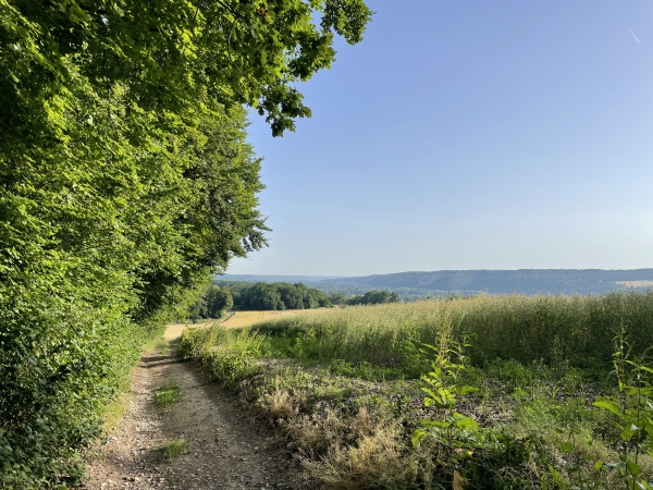 Regard arrière vers la vallée de l'Eure.