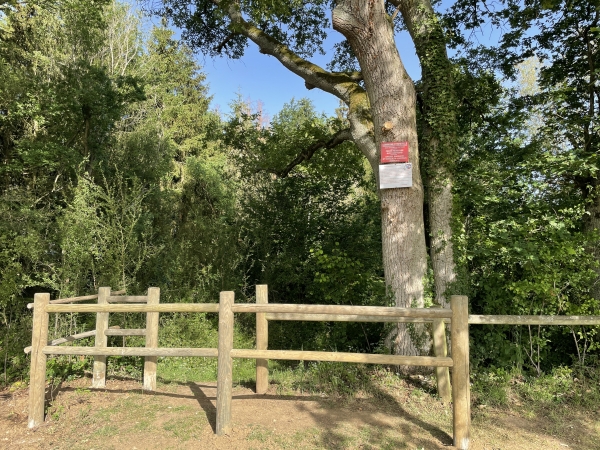 Nous entrons dans le parc de la commune d'Irreville, créé autour de son étang.