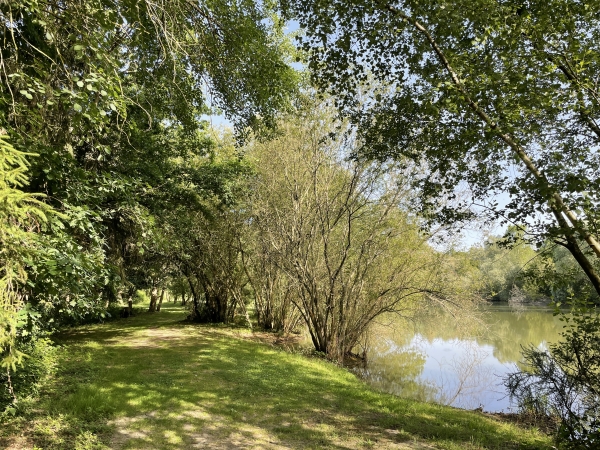 L'endroit est charmant, plusieurs bancs peuvent accueillir les marcheurs.