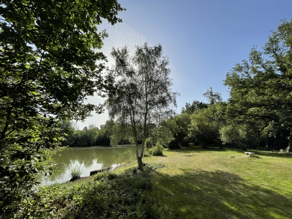 Parc de l'étang d'Irreville.