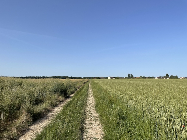 Nous prenons la direction d'Emalleville.