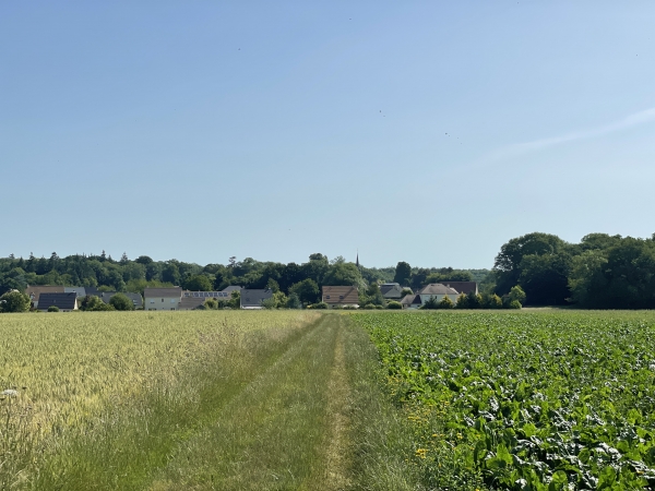 Au bout du chemin, nous voyons déjà la Chapelle-du-Bois-des-Faulx.