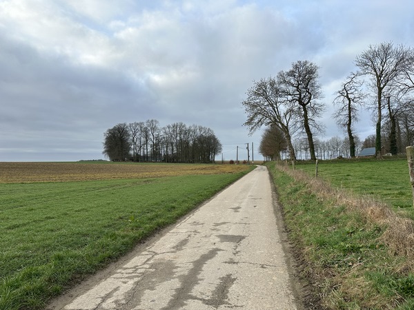 Je quitte le bourg par la rue d'Esnambuc (tout un programme d'aventures !)