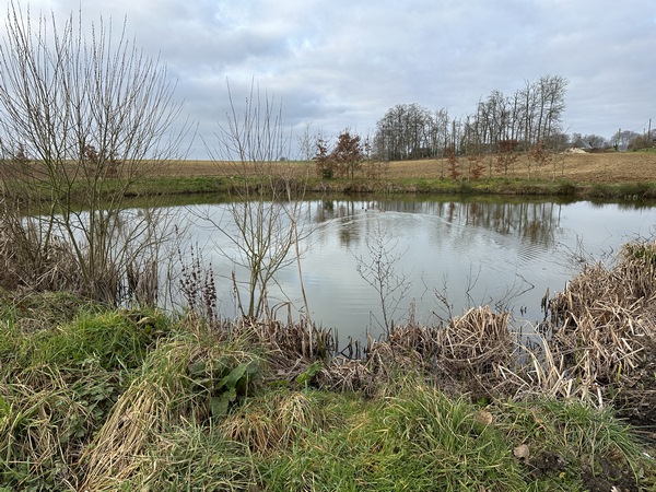 Cette petite route d'Esnambuc traverse la plaine, ponctuée de mares et de clos masures, typiques du Pays de Caux.