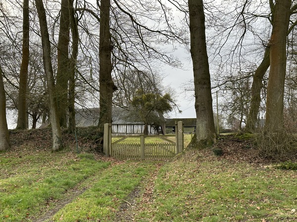 Voilà l'un des clos masures. Son talus est planté d'une double rangée de charmes et de hêtres.