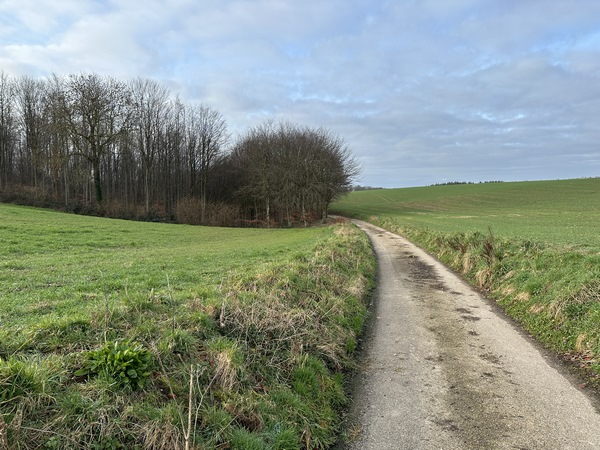 Après le hameau du Bosc à Boc, je continue tout droit en direction de la forêt.