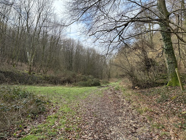 Je suis arrivé en fond de vallon sur le chemin du Bosc à Bosc. Je vais tourner ici à gauche, pour monter sur le massif de l'Ouraille. Il est possible de rester sur le chemin du Bosc à Bosc.