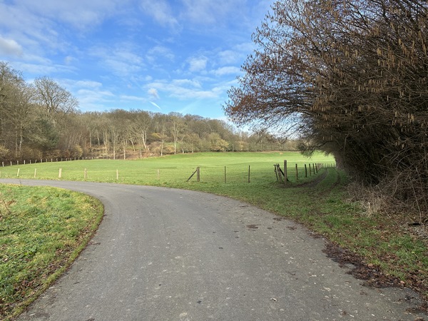 Je suis la route forestière des Vaux, et je vais la quitter ici à droite, en suivant les balises du GR211.