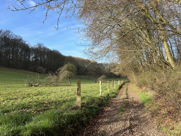 Cette partie du GR211 est vraiment délicieuse, même en hiver. Le chemin avance entre les bois et les herbages sur une pente imperceptible.