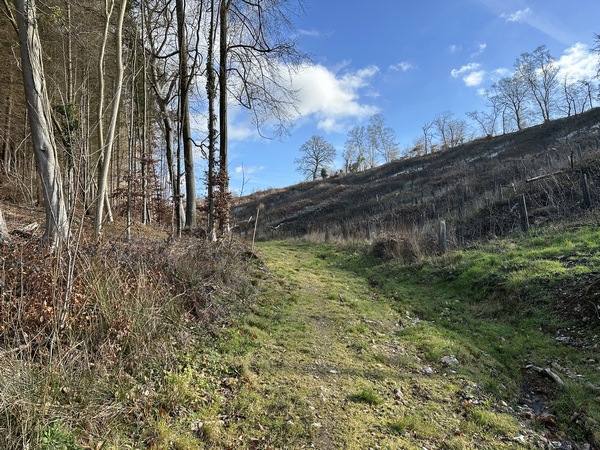 La pente de la dernière partie du chemin est un peu plus accentuée.