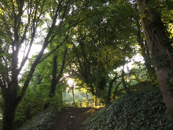 Les photos du diaporama proviennent de nos randonnées d'août 2017 et de décembre 2020. Nous sortons d'Igoville en suivant le GR2. Nous le suivons vers le Bois de Rouville, puis le quittons pour continuer vers Ymare.