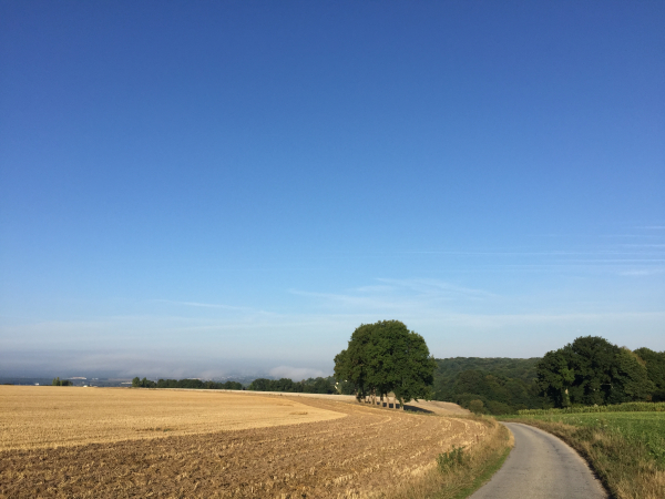 Nous suivons la petite route d'Ymare le long du Bois de Rouville.