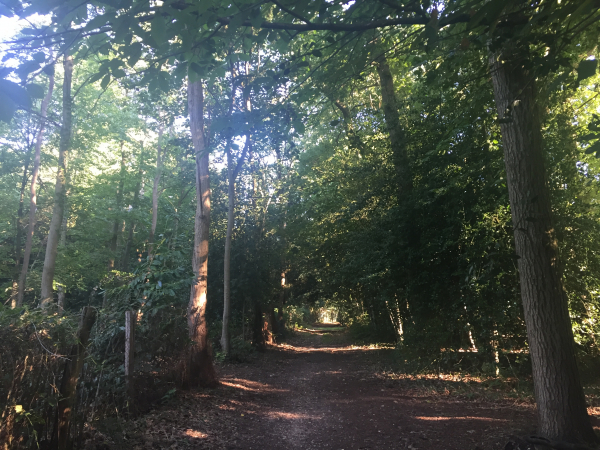 Arrivés à Ymare, nous contournons le centre du bourg en suivant ce charmant chemin de la Mare du Parc.