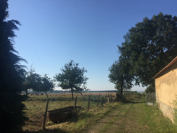 Il est possible de faire le tour d'Ymare en restant sur les chemins. Même le long de la D13 un chemin a été aménagé sur l'accotement.