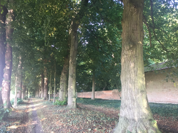 Nous longeons le mur de l'ancien château d'Ymare. Ancienne propriété du seigneur de Rouville, il a été détruit pendant les années 1970. Il en reste ses sauts de loup, l'église, quelques dépendances dont un colombier, et une bergerie transformée en maison.