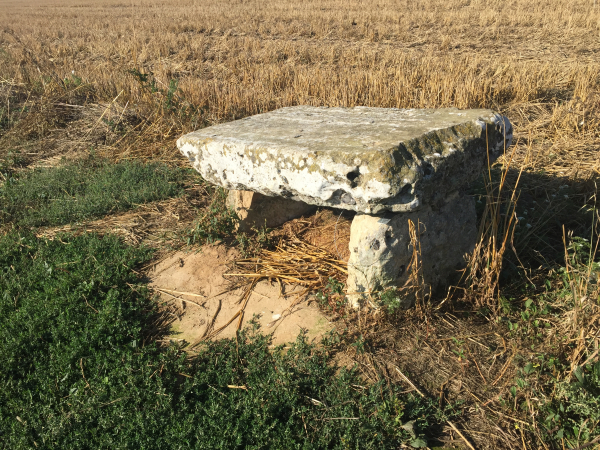 A la limite entre Ymare et Alizay, voici la Tombe du Druide. Une croix a été gravée sur la pierre de recouvrement. L'hypothèse la mieux argumentée indique qu'il s'agirait d'une ancienne croix de carrefour dont il ne reste que ces pierres replacées en forme de dolmen. ref : Armand Launay.