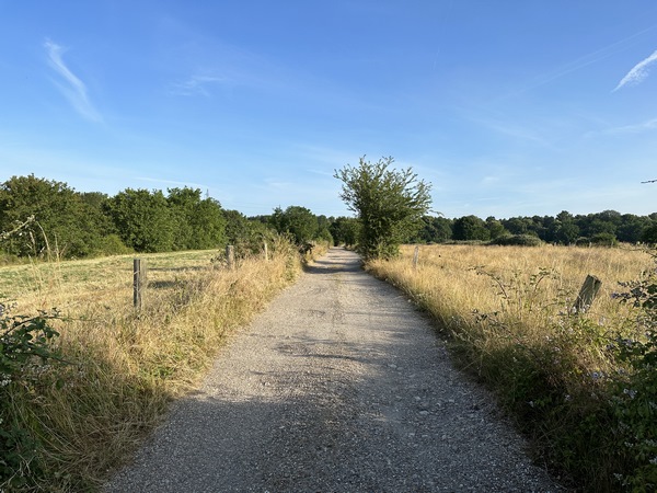 J'arrive sur la Côte Moulinière et je marche en direction de Tourville.