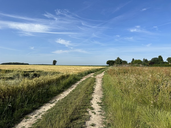 J'ai rejoint le GR2 que je vais suivre jusqu'au bois de la Sahatte.