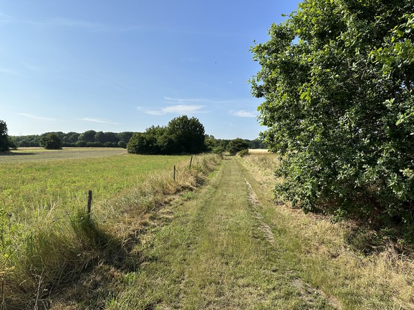 GR2 dans la plaine des Gros Bos.