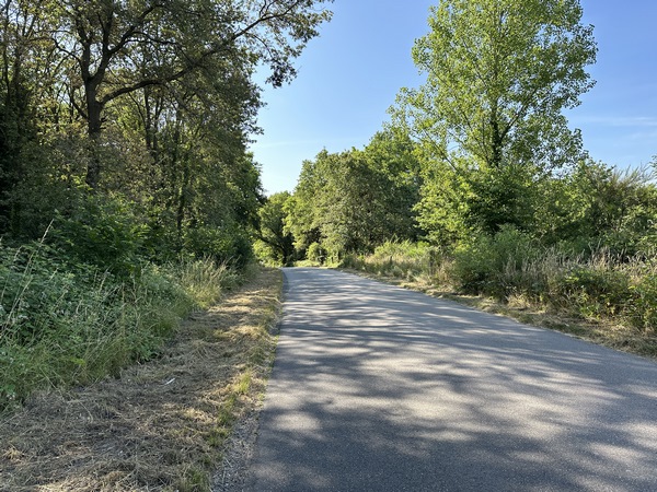 J'arrive au niveau du Bois du château de la Sahatte. Le château, occupé par les allemands, a pris quelques obus à la Libération. Pillé et ruiné, il n'en reste que quelques fondations dans un bois privé. Ref historiques de ce circuit : Armand Launay.