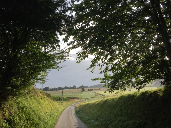 Nous quittons la vallée de l'Eaulne pour monter vers le Mont Auban.