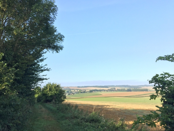 Nous n'allons pas jusqu'au sommet, mais la vue sur la vallée est déjà magnifique. Nous allons suivre ce chemin qui avance en balcon le long de la Forêt Royale.