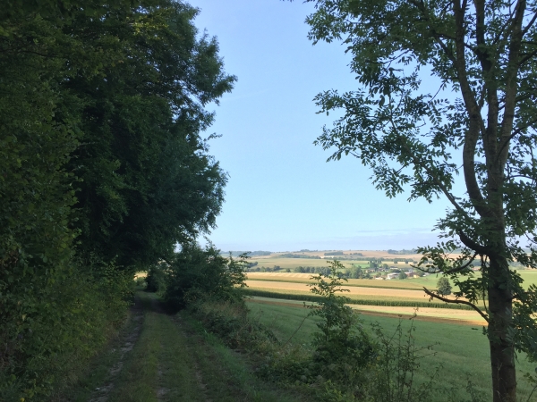 Notre chemin longe la Forêt Royale, et nous dominons la vallée de l'Eaulne.