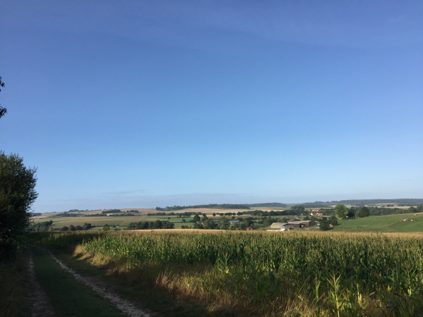 Nous restons sur ce même chemin pour redescendre doucement dans la vallée.