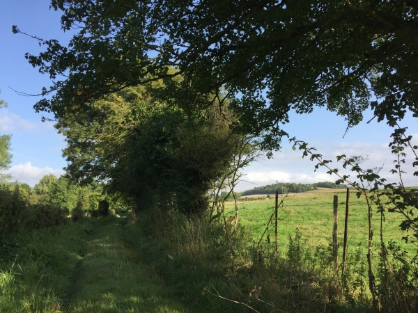 Arrivés dans la vallée, nous suivons la D36 sur 500m, puis le chemin du Moulin, le long de l'Eaulne.