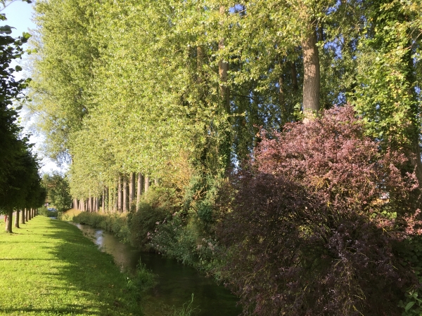 Ce canal de l'Eaulne qui alimentait le moulin de Sainte-Beuve a été réaménagé en 2014. Il a été séparé de la petite rivière La Source pour restaurer la continuité écologique de l'Eaulne, et seule La Source continue désormais de couler vers le moulin.
