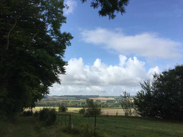 Vue sur la vallée depis le bois des Sapinettes.
