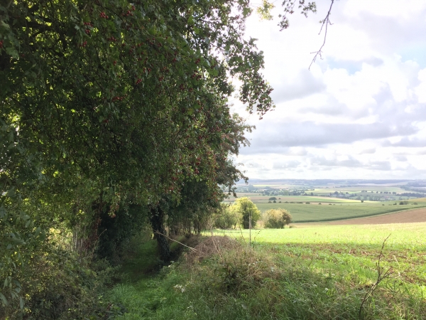 Nous redescendons maintenant par ce chemin creux.