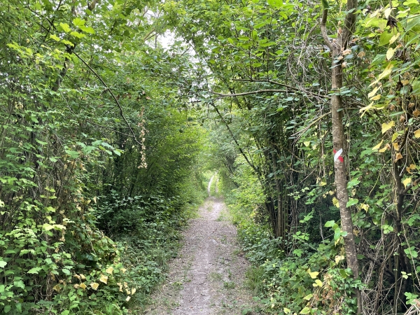 Contrairement au GR2, nous ne montons pas vers Venables. Nous le quittons ici et restons sur ce chemin qui longe le coteau.