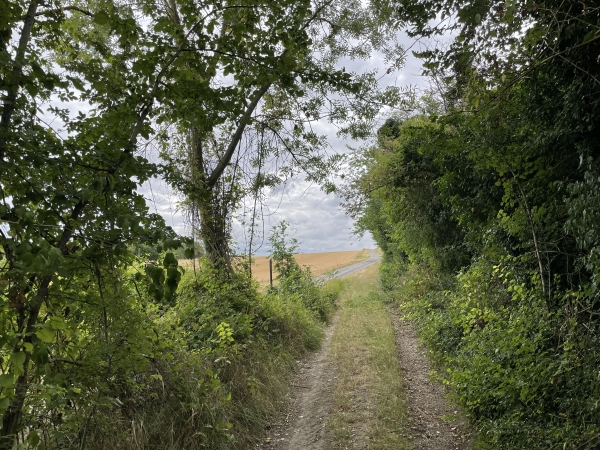 Le chemin débouche sur une petite route que nous allons suivre en face.