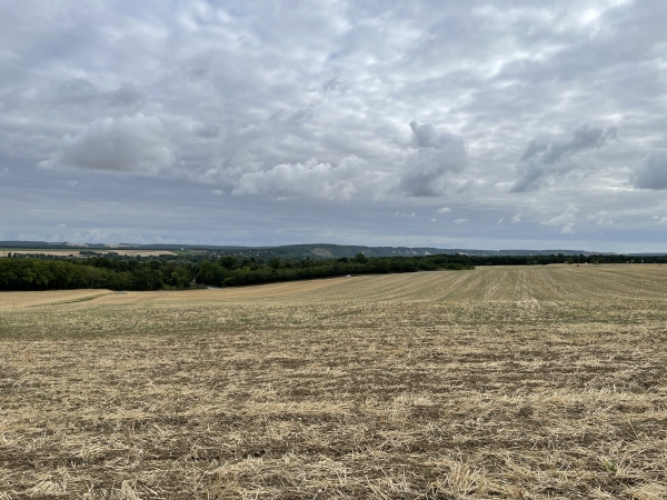 Vue sur la vallée de la Seine depuis la Croix Blanche.