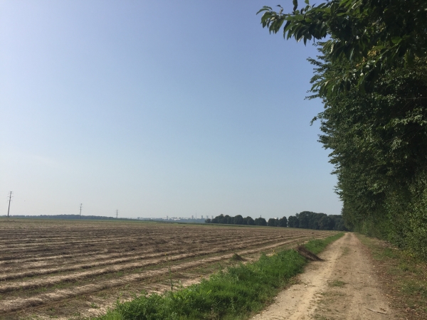 Notre chemin longe la Voie Rapide de la Lézarde (D489), le bruit de la circulation est un peu atténué par la rangée d'arbres à notre droite. Au fond, les immeubles de Caucriauville.