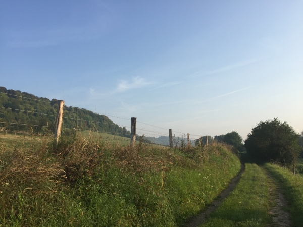 Nous commençons par longer l'Andelle sur le Chemin de Montagny.