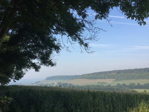 Nous montons sur la colline de la Bouvillière.