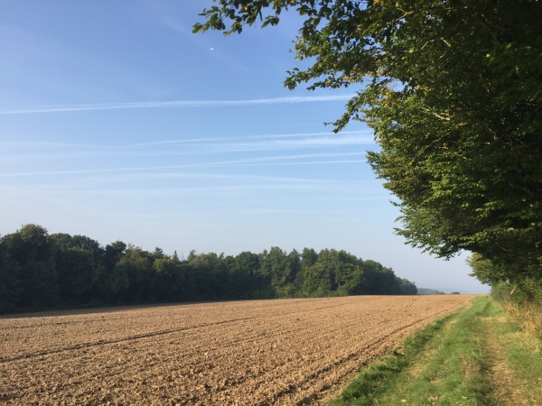 Nous rejoignons le GRP des Forêts de Haute-Normandie, et le suivons vers l'ouest.