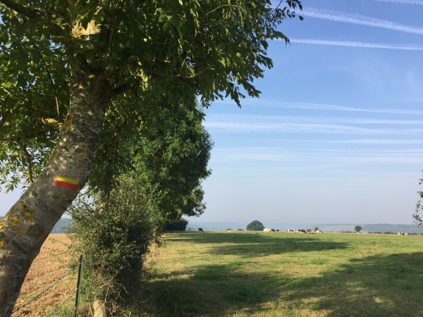 Le GRP donne l'impression de passer à travers champs, mais les balises en jaune et rouge nous confirment que nous ne sommes pas perdus.