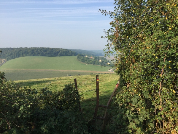Des passe-clotûres permettent de passer d'un champ à un autre.
