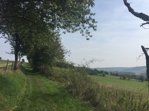 Chemin du Grand-Mont-Alix.