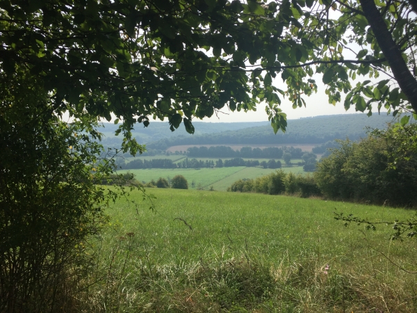 Vue sur la vallée de l'Andelle depuis le Chemin du Grand-Mont-Alix.