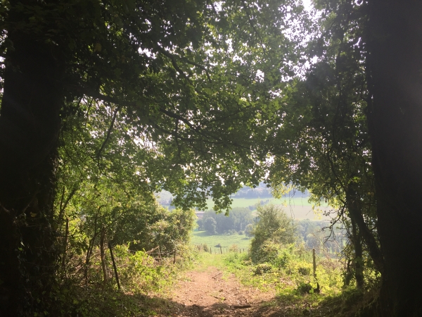 Sortie du Bois du Quesnay au-dessus de Nolléval.