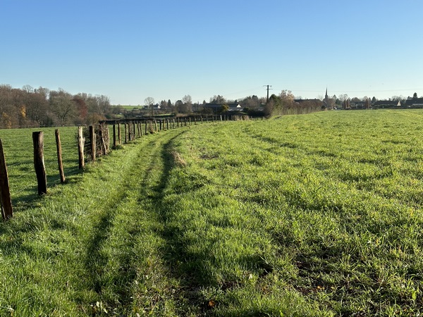 Nous montons sur le coteau est par le bois de la Plante, et suivons ici le chemin de la Ferme Perdue vers Catenay.