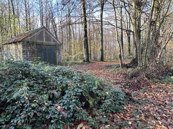 Depuis la route, dans le bois du château, on peut apercevoir des vestiges d'une ancienne base de lancement de V1. Le hangar de montage a été réaménagé, et on distingue encore un abri souterrain.&nbsp;&nbsp;